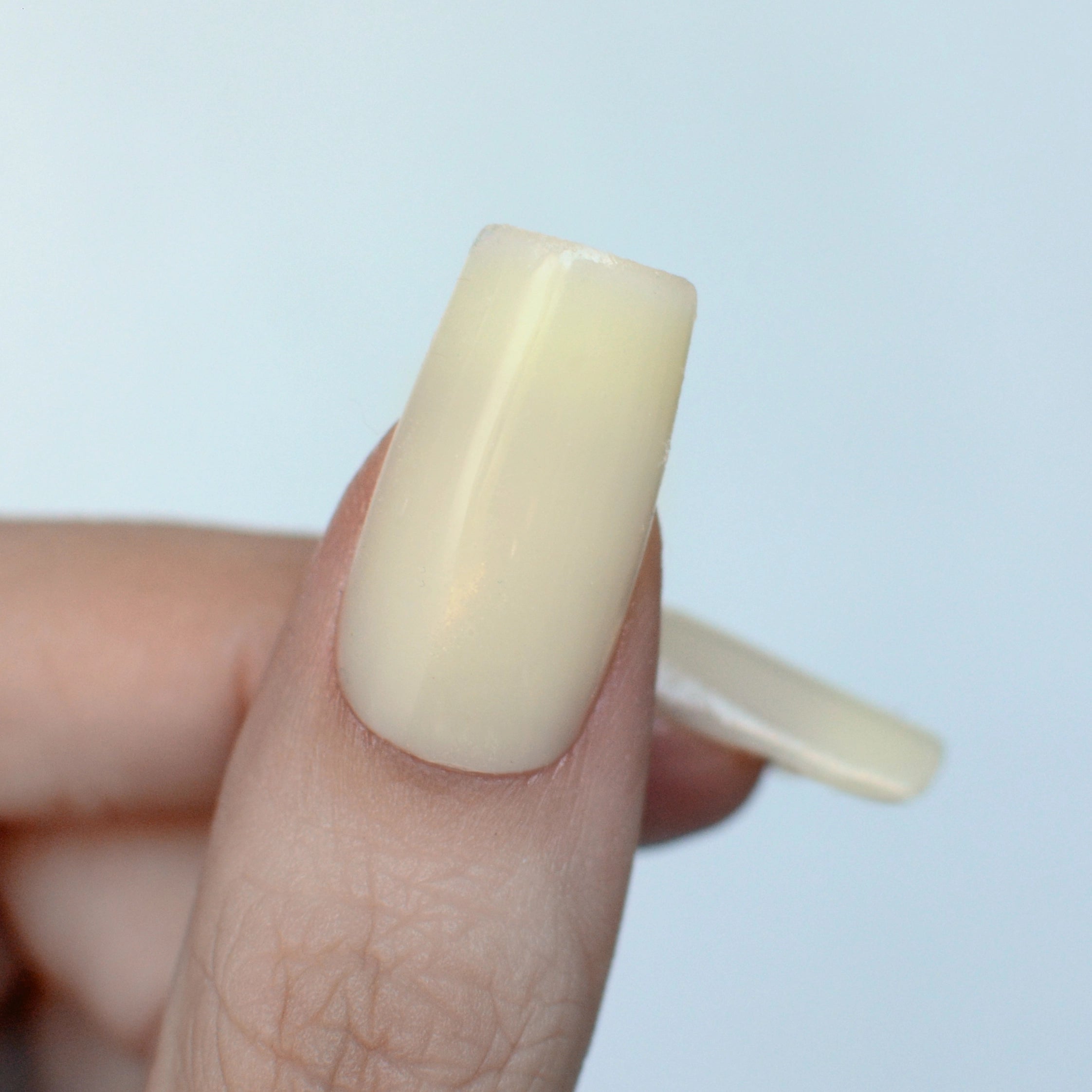 Easy Gel - Soft Daisy