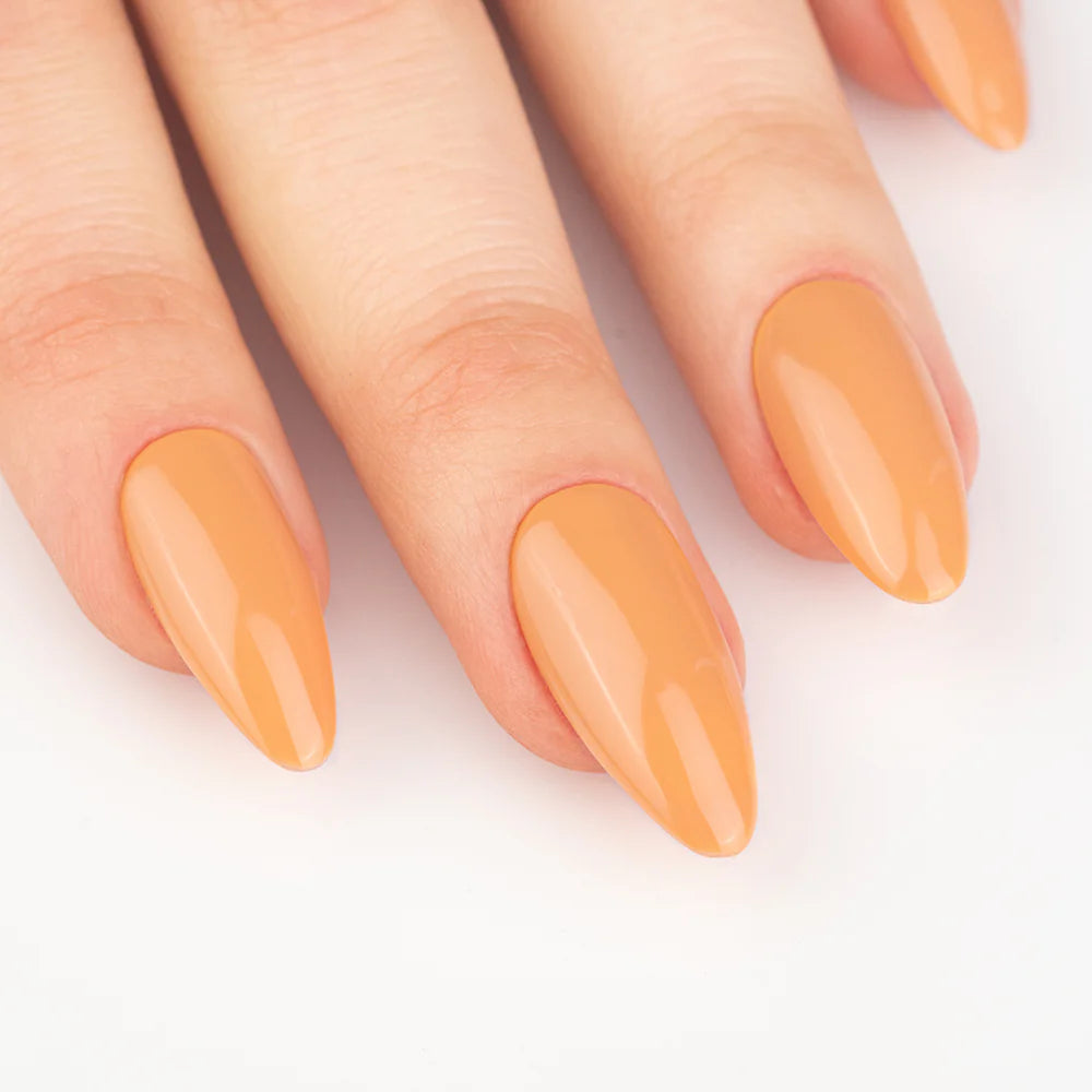 Gel Color - Almond