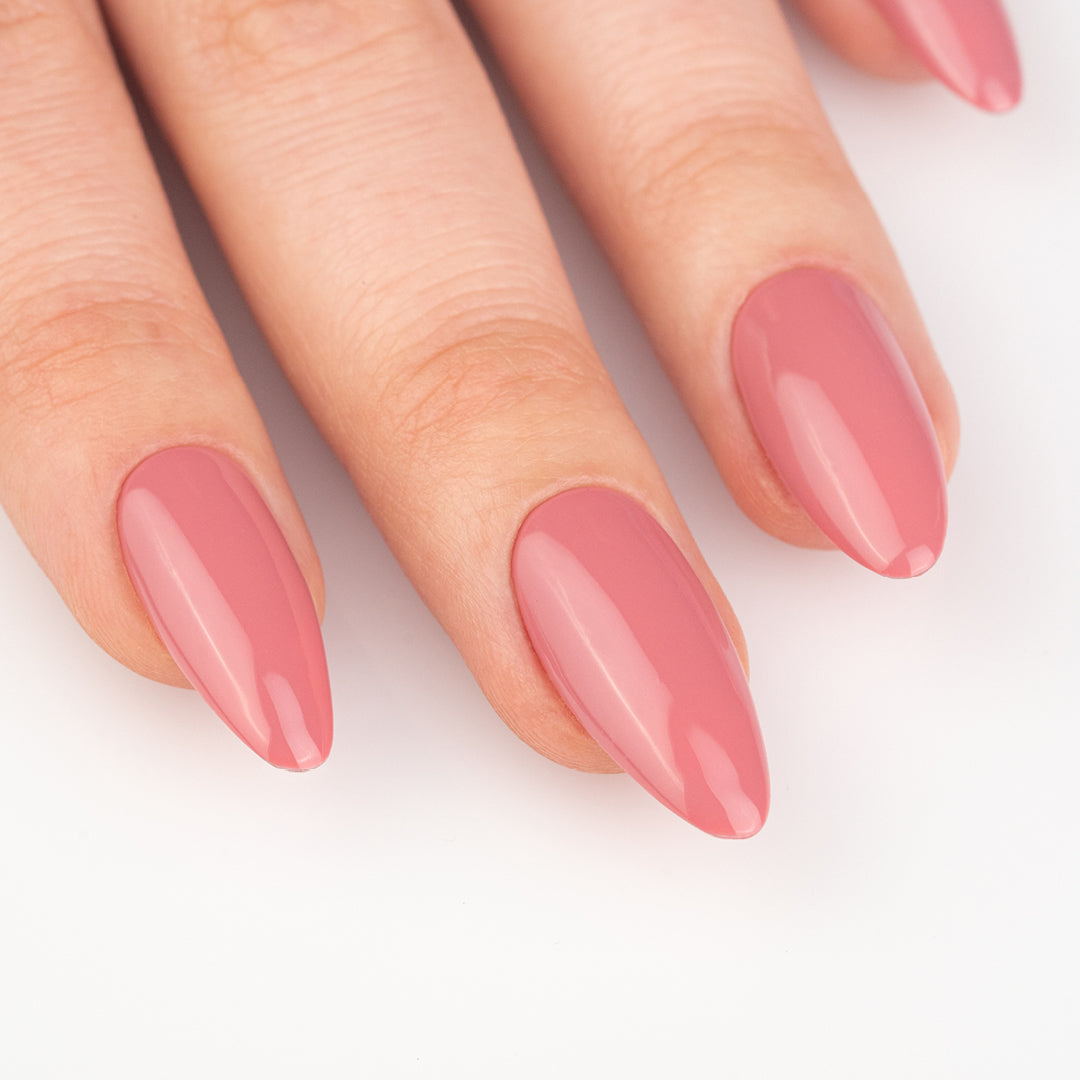 Gel Color - Little Susie - Col. INVIERNO