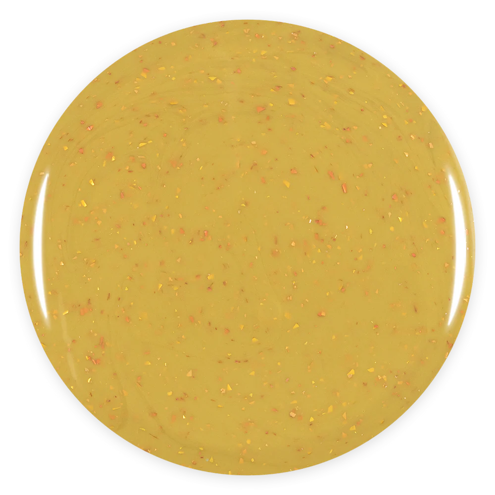 Colección Completa Autumn Trends + Taza de regalo