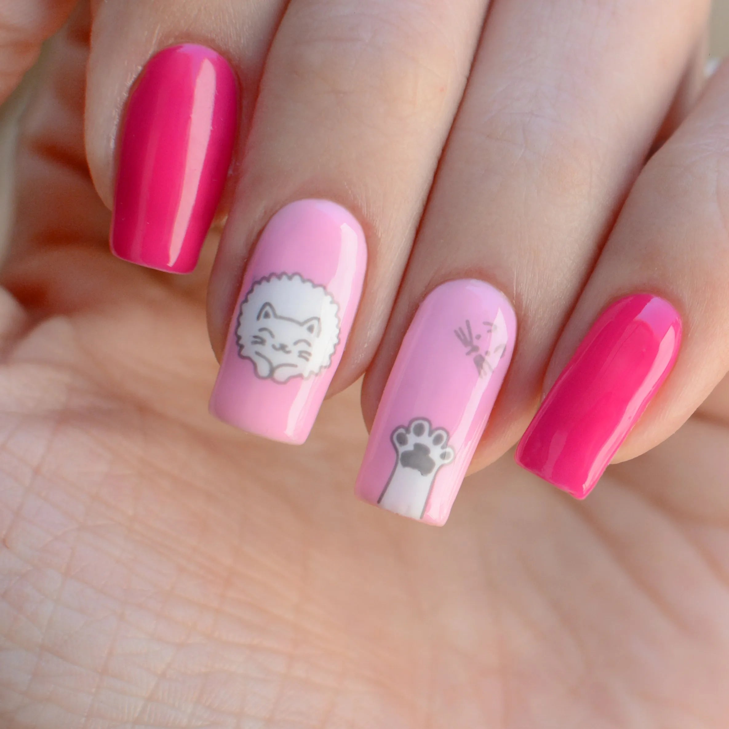 Placa de Stamping Cats #34