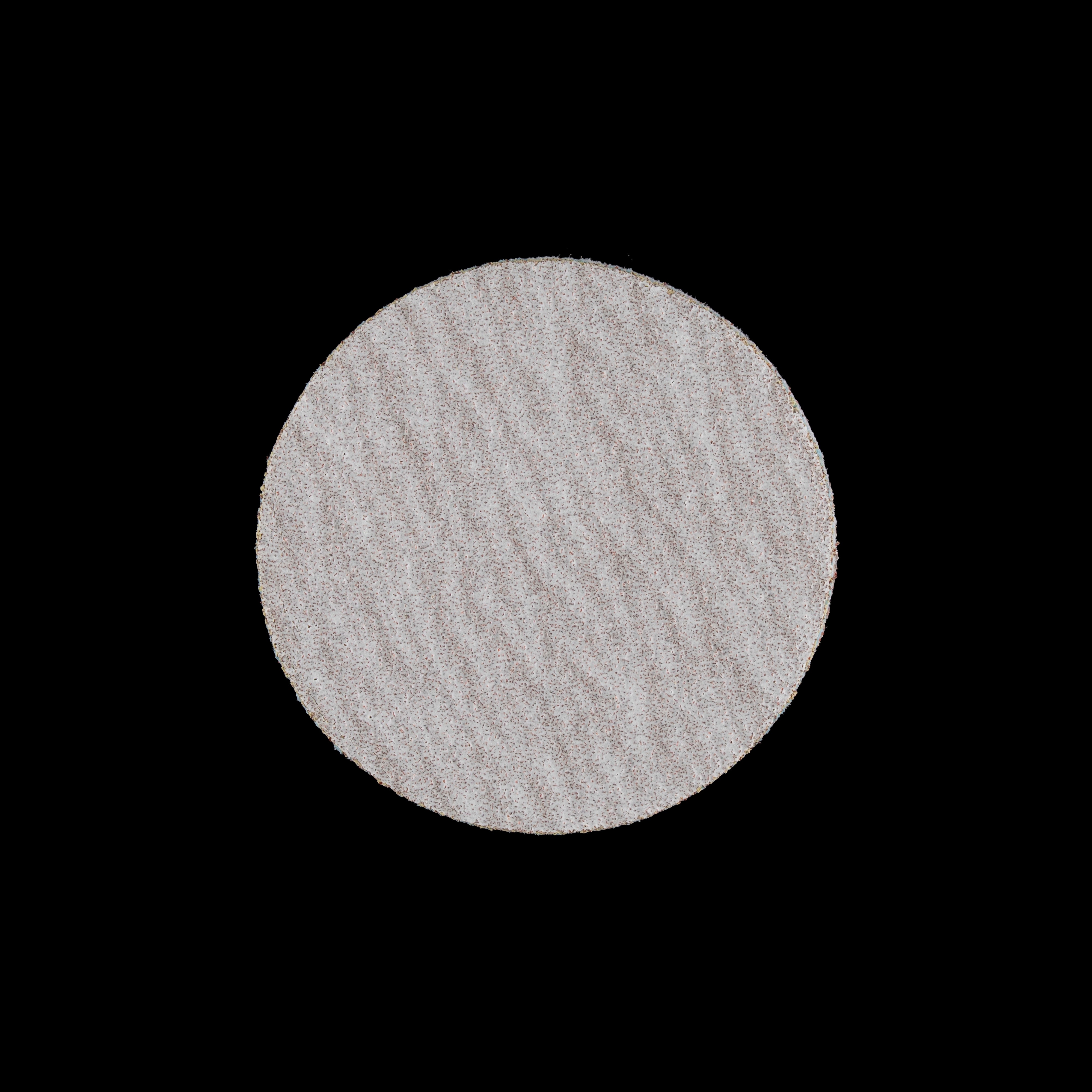 Sanding Disc 20 mm - 240 Grit