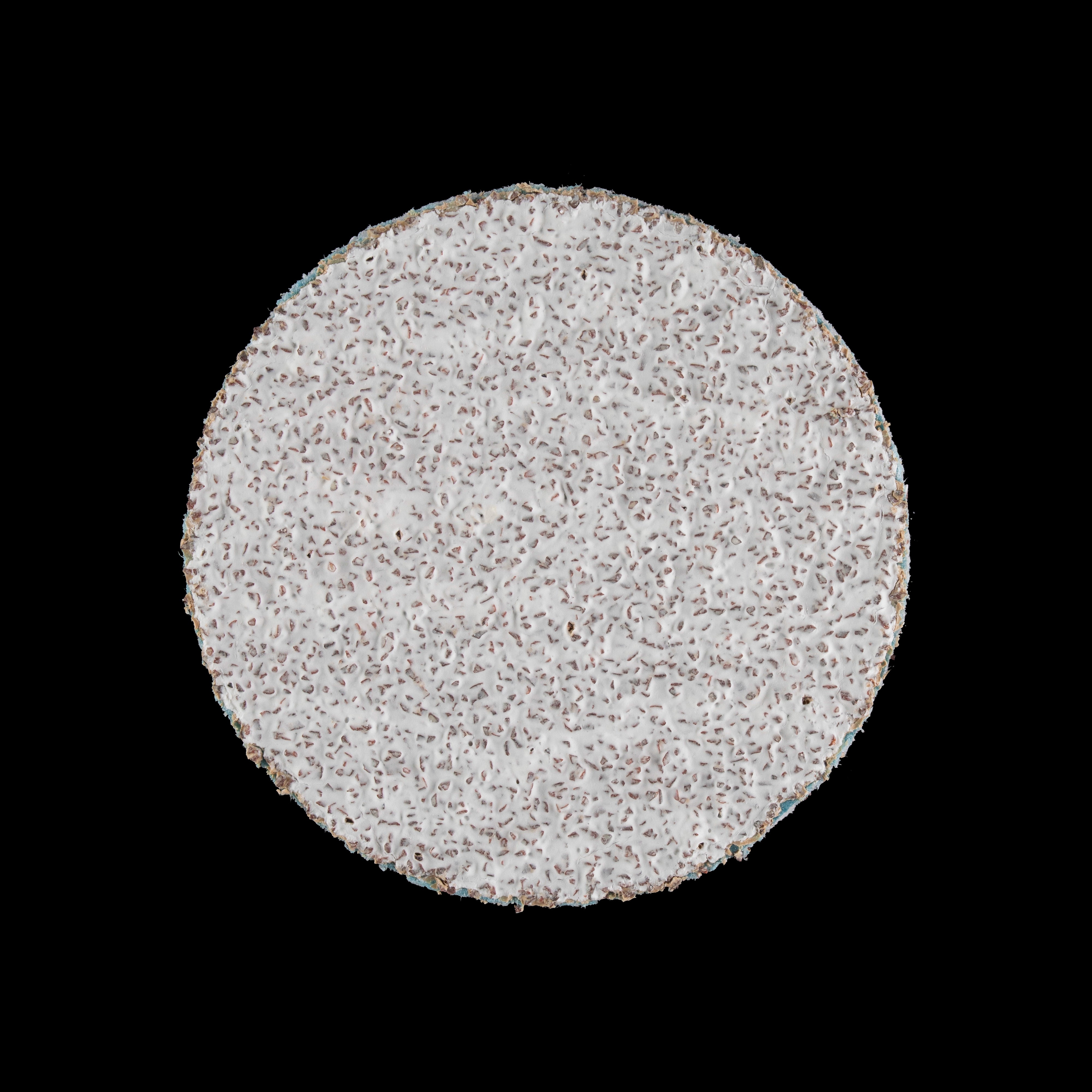 Sanding Disc 25 mm - 80 Grit