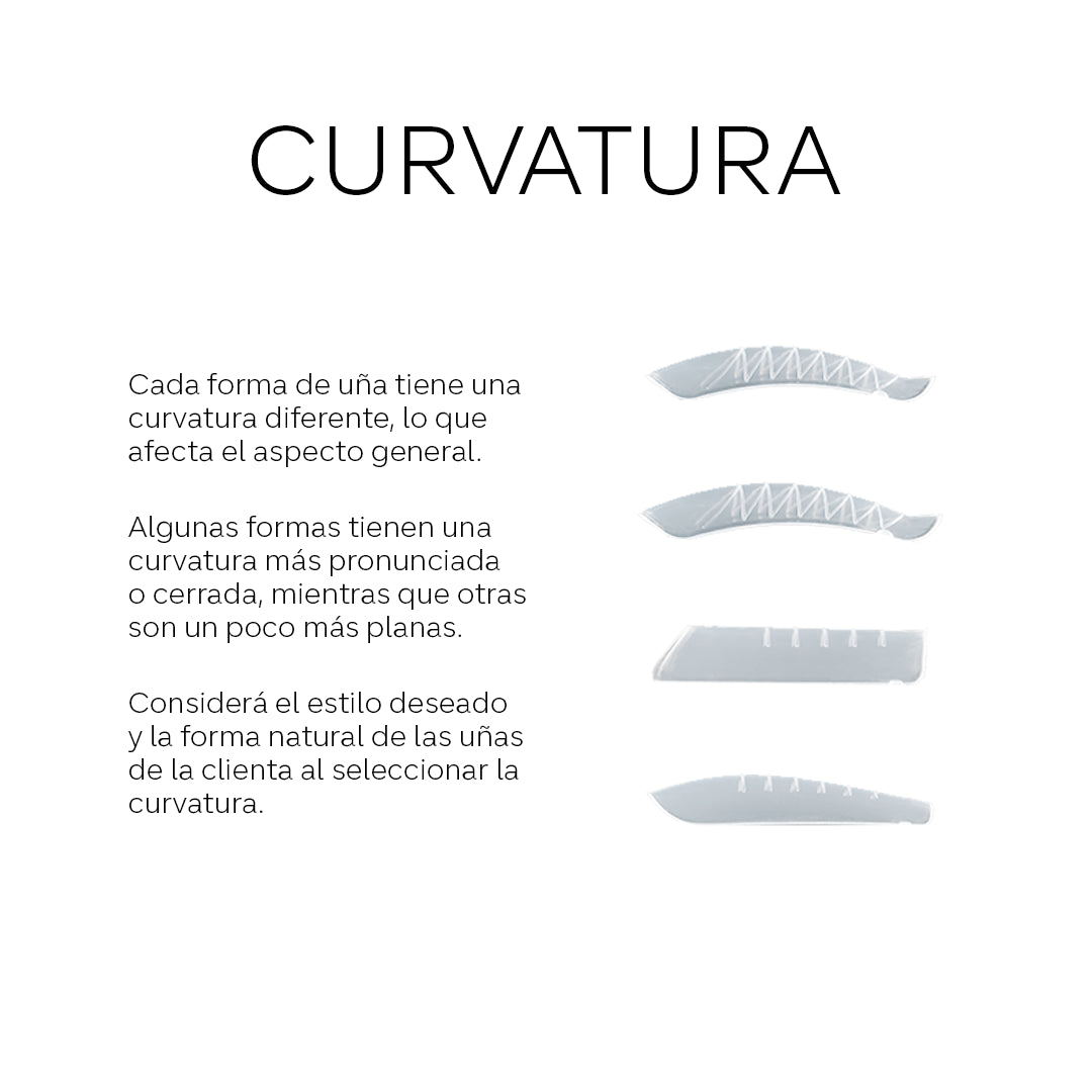Dual Forms - C Curve