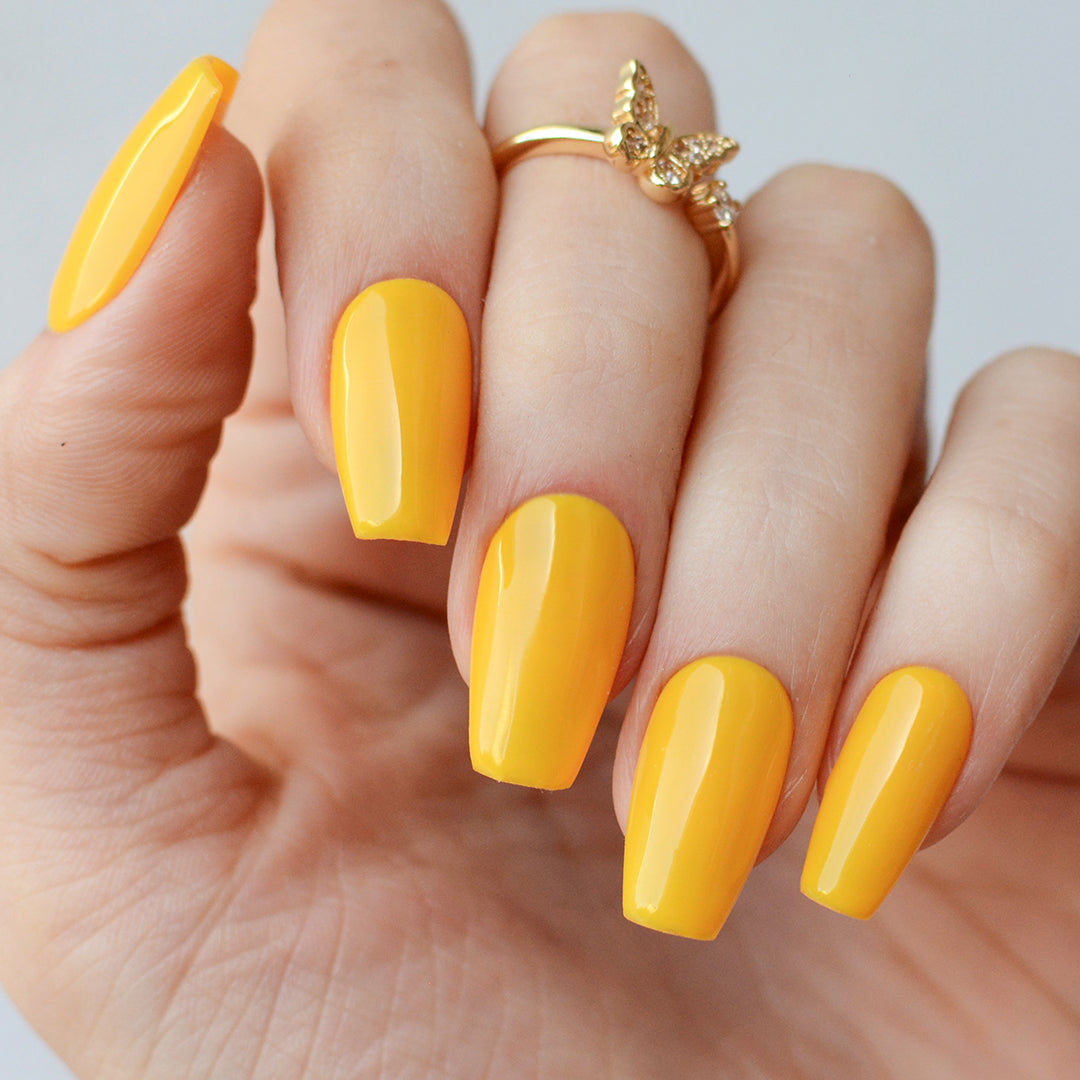 Gel Color - Accio